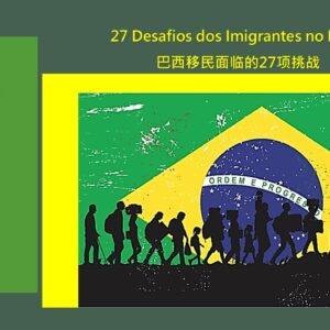 生活口语与语法第八册 : 巴西移民面临的27项挑战